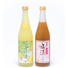 「紀州完熟南高梅・ねりうめ酒」と「じゃばら酒」各720ml (紀美野町)
