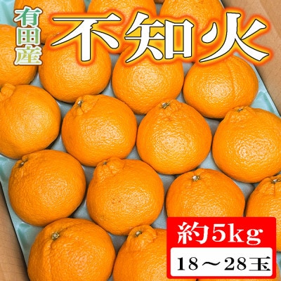 【濃厚春柑橘】有田産不知火約5kg(18玉～28玉おまかせ)　(紀美野町)