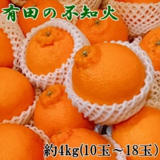 【濃厚春柑橘】有田産不知火約4kg(10玉～18玉おまかせ) (紀美野町)