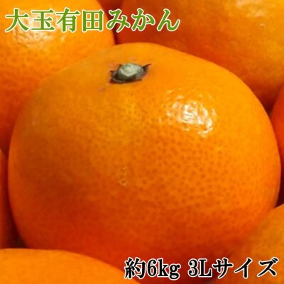 [秀品]和歌山有田みかん約6kg大玉(3Lサイズ) 「2025年11月中旬より順次発送」【紀美野町】
