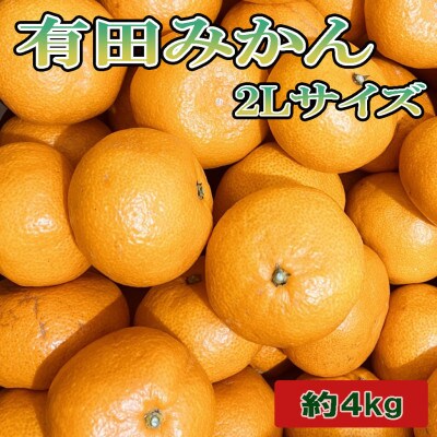 [秀品]和歌山有田みかん約4kg(2Lサイズ)「2026年11月中旬より順次発送」(紀美野町)