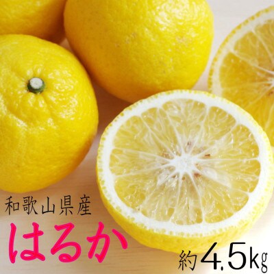 【発送月固定定期便】和歌山の春の柑橘(ポンカン・はるか・ブラッドオレンジ)定期便全3回