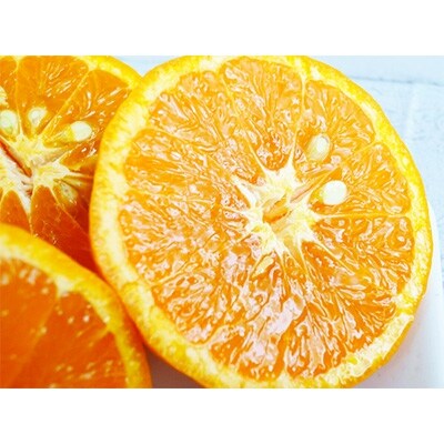 初夏のみかん なつみ5kg お礼品詳細 ふるさと納税なら さとふる