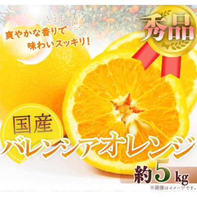 【紀美野町】秀品　希少な国産バレンシアオレンジ　5kg