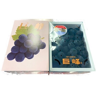 【紀美野町】紀州和歌山産巨峰 約800g
