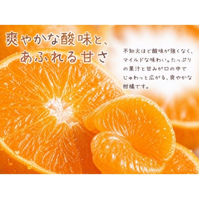 【紀美野町】果肉ぷりぷり!完熟はるみ 約5kg