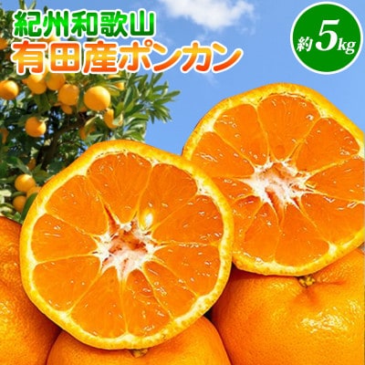 紀州和歌山有田産ポンカン　5kg【紀美野町】