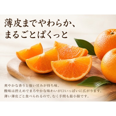紀州和歌山有田産ポンカン　5kg【紀美野町】