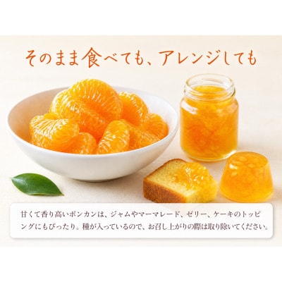 紀州和歌山有田産ポンカン　5kg【紀美野町】