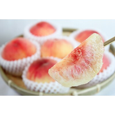 【2022年7月下旬発送】紀州和歌山産の桃　約1.8kg　化粧箱入【紀美野町】