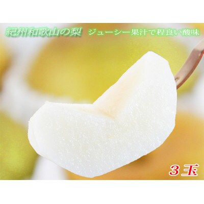 紀州和歌山産の梨 3玉 化粧箱入