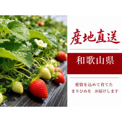 紀州和歌山ブランドいちご「まりひめ」約250g×4P