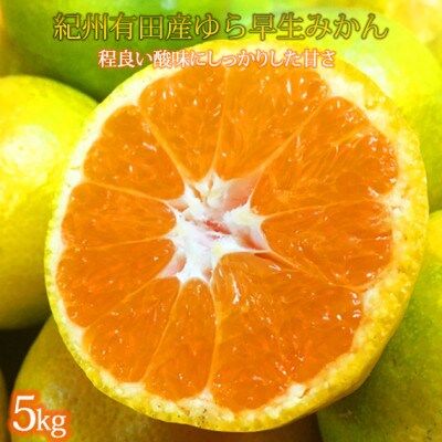 紀州和歌山有田産ゆら早生みかん　5kg