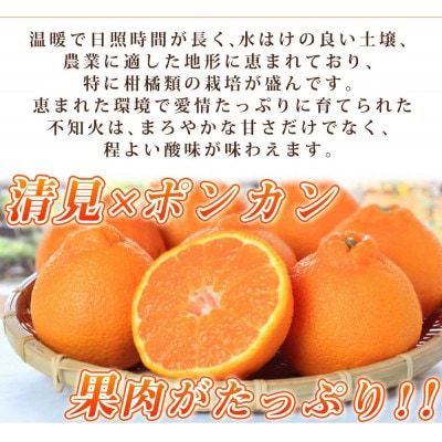 【ご家庭用】紀州有田産不知火(しらぬひ) 約8.5kg