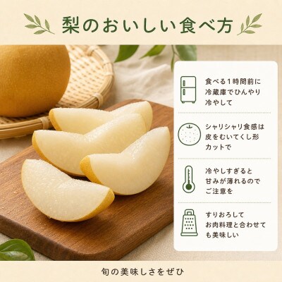 紀州和歌山産の梨　約2kg　化粧箱入