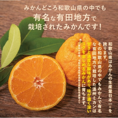 高級ブランド田村の完熟紀州デコ(不知火)約8kg