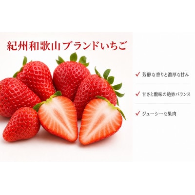 紀州和歌山ブランドいちご「紀の香」約250g×4P