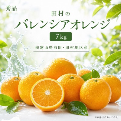 秀品　田村のバレンシアオレンジ　約7kg