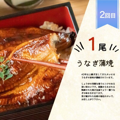 【毎月定期便】魚鶴商店が選ぶ人気お魚A(サバフィレ・うなぎ蒲焼・紅鮭切身)全3回
