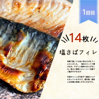 【毎月定期便】魚鶴商店が選ぶ人気お魚B(サバフィレ・うなぎ蒲焼・紅鮭切身)全3回
