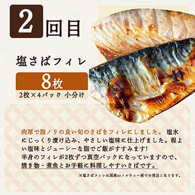 【毎月定期便】海鮮セットE(銀鮭切身・サバフィレ・紅鮭切身)全3回