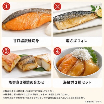 【毎月定期便】海鮮セットJ(銀鮭切身・サバフィレ・3種切身・海鮮漬)全4回
