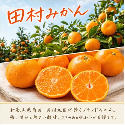 【発送月固定定期便】紀州和歌山産旬のフルーツセット(田村みかん・いちご・なつみ)全3回