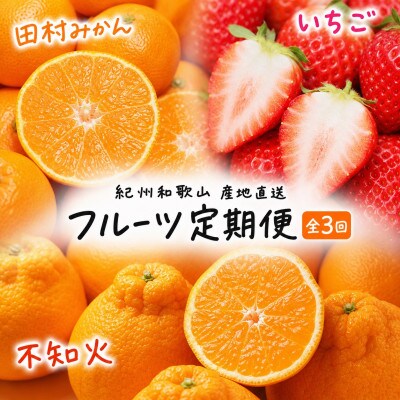 【発送月固定定期便】紀州和歌山産旬のフルーツセット(田村みかん・いちご・紀州デコ)全3回