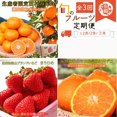 【発送月固定定期便】紀州和歌山産旬のフルーツセット(田村みかん・まりひめ・紀州デコ)全3回