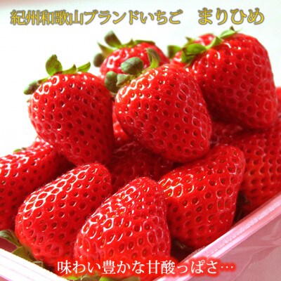 【発送月固定定期便】紀州和歌山産旬のフルーツセット(田村みかん・まりひめ・紀州デコ)全3回