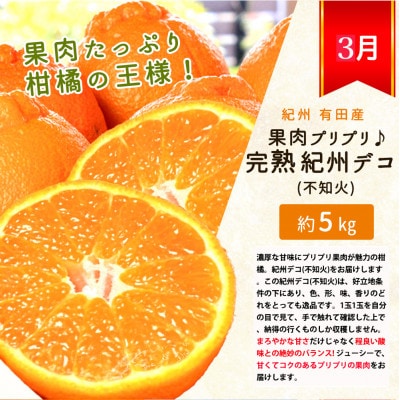 【発送月固定定期便】紀州和歌山産旬のフルーツセット(田村みかん・まりひめ・紀州デコ)全3回