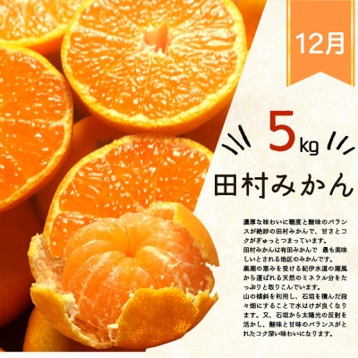 【発送月固定定期便】紀州和歌山産旬のフルーツセット(田村みかん・まりひめ・紀州デコ)全3回