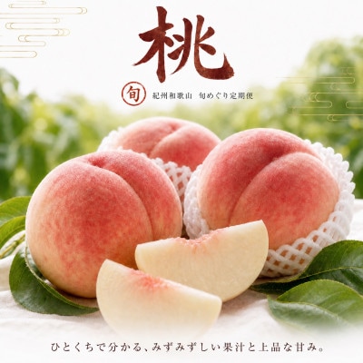 【発送月固定定期便】紀州和歌山産旬のフルーツセット(せとか・桃・富有柿)全3回