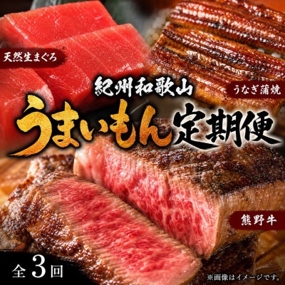 【毎月定期便】紀州和歌山うまいもんセットA(生まぐろ・うなぎ蒲焼・熊野牛)全3回