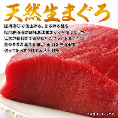 【毎月定期便】紀州和歌山うまいもんセットA(生まぐろ・うなぎ蒲焼・熊野牛)全3回