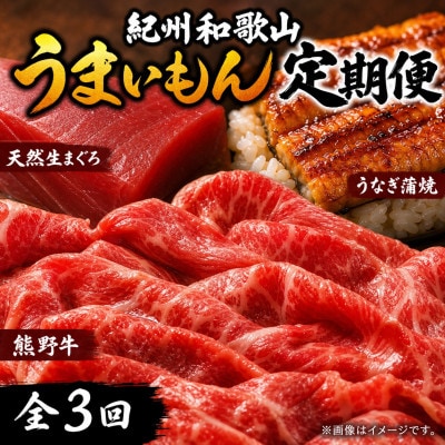 【毎月定期便】紀州和歌山うまいもんセットB(生まぐろ・うなぎ蒲焼・熊野牛)全3回