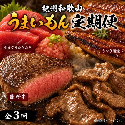 【毎月定期便】紀州和歌山うまいもんセットC(生まぐろ・うなぎ蒲焼・熊野牛)全3回