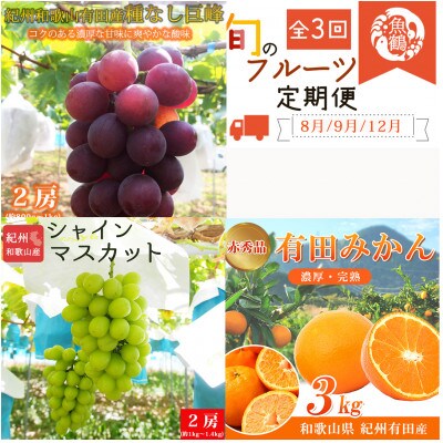 【発送月固定定期便】紀州和歌山産旬のフルーツセット(種なし巨峰・シャイン・みかん)全3回