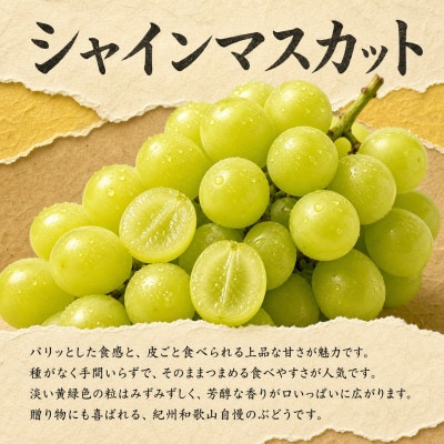 【発送月固定定期便】紀州和歌山産旬のフルーツセット(種なし巨峰・シャイン・みかん)全3回
