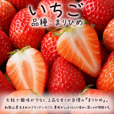 【発送月固定定期便】紀州和歌山産旬のフルーツセット(いちご・ポンカン・紀州デコ)全3回