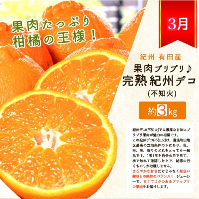 【発送月固定定期便】紀州和歌山産旬のフルーツセット(いちご2P・ポンカン・紀州デコ約3kg)全3回