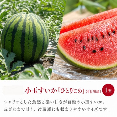 【発送月固定定期便】紀州和歌山産旬のフルーツセット(セミノール・スイカ・桃)全3回