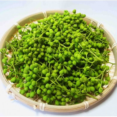 ぶどう生実山椒500g×1