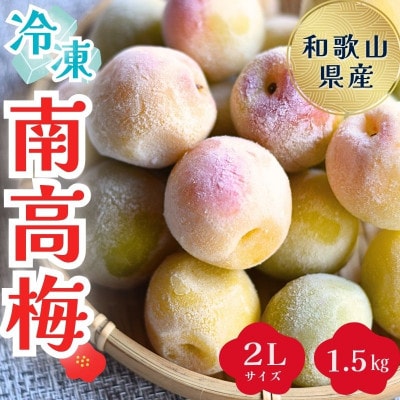 冷凍南高梅　1.5kg(500g×3個)