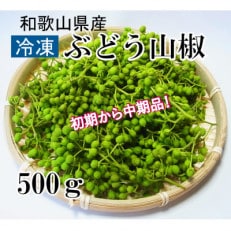 冷凍生山椒〈初期から中期品〉和歌山県産実山椒 ぶどう山椒500g