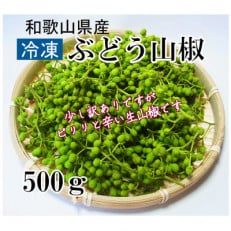 冷凍ぶどう生山椒〈訳あり〉和歌山県産実山椒 500g(250g&times;2パック)