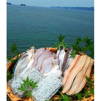 和歌山産釜揚げしらす300g&干物詰め合わせセット4種10品入り【無添加・無着色】