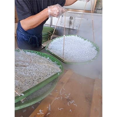 和歌山産釜揚げしらす300g&干物詰め合わせセット4種10品入り【無添加・無着色】