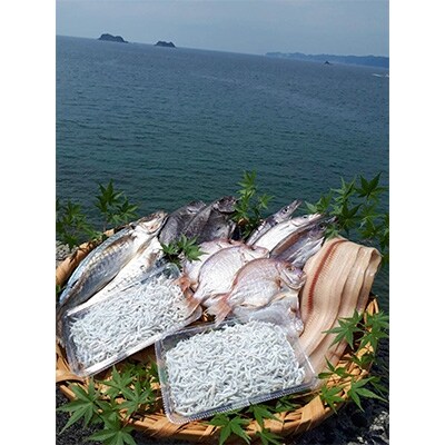 和歌山産釜揚げしらす480g&干物詰め合わせセット5種12品入り【無添加・無着色】