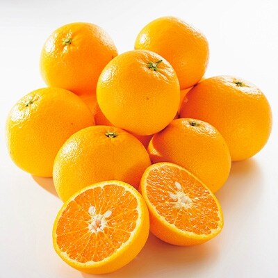 【2021年3月上旬以降出荷】希少柑橘 甘くて爽やかな春柑橘 春峰 約5kg(赤秀/贈答用)